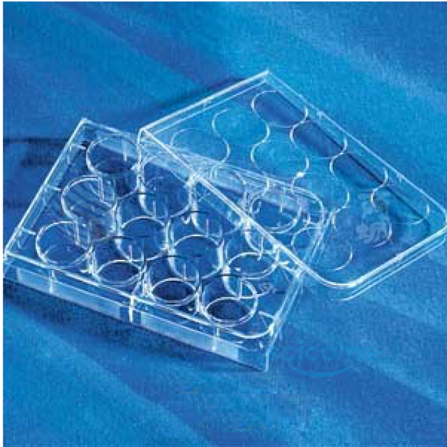 12孔细胞培养板