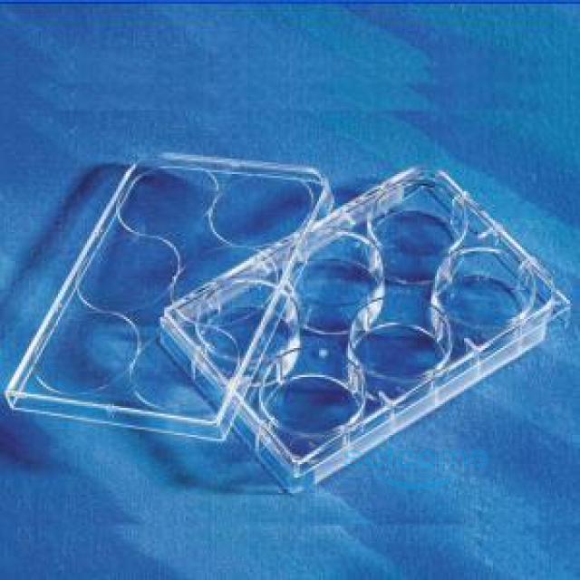 6孔细胞培养板