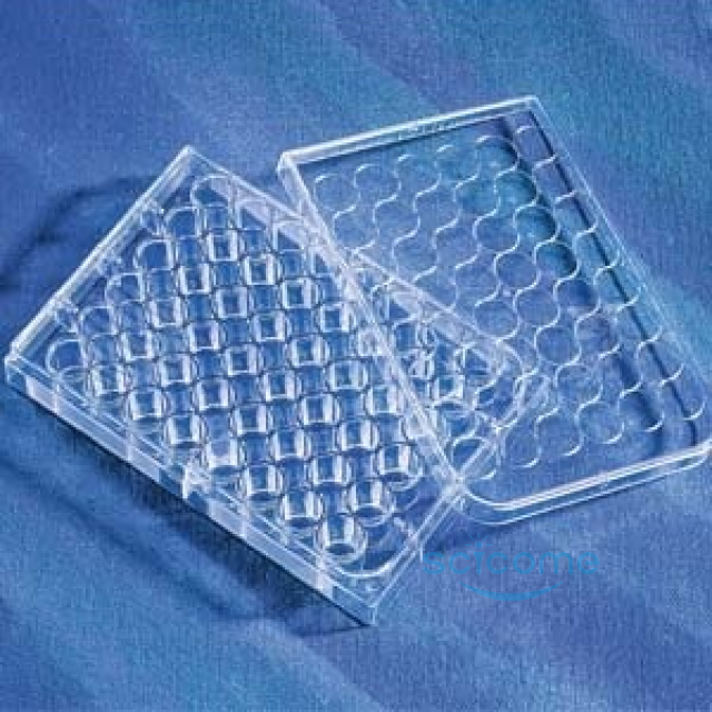 48孔细胞培养板