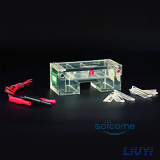 琼脂糖水平电泳槽