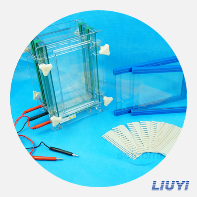 双板夹芯式垂直电泳仪