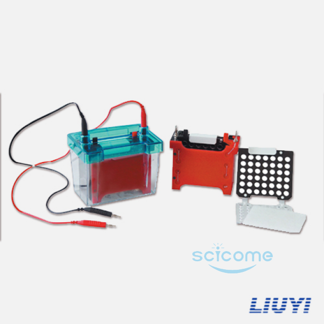 迷你转印电泳仪