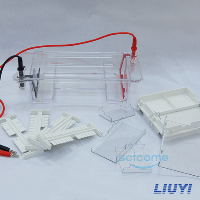 琼脂糖水平电泳仪