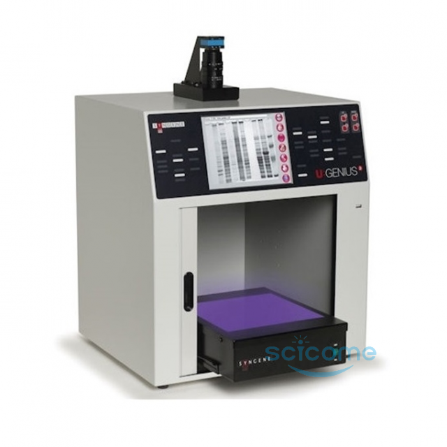 全自动凝胶成像系统