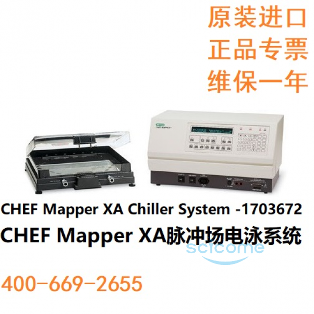 脉冲场电泳XA系统