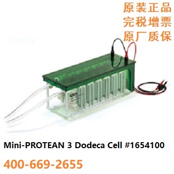 小型高通量垂直电泳槽
