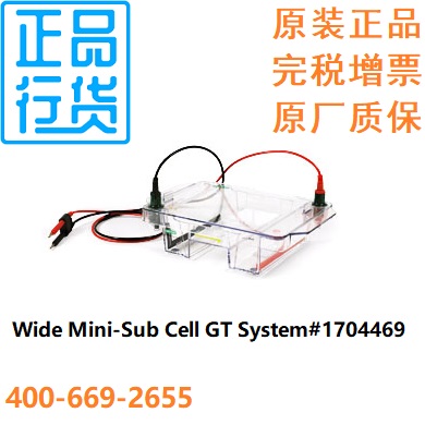 宽式迷你水平电泳槽