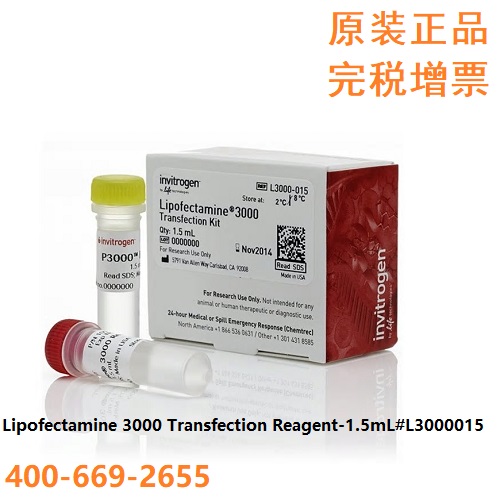 Lipo3000转染试剂
