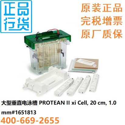 PROTEAN II大型垂直电泳槽