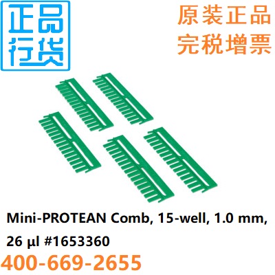 垂直电泳槽电泳梳子