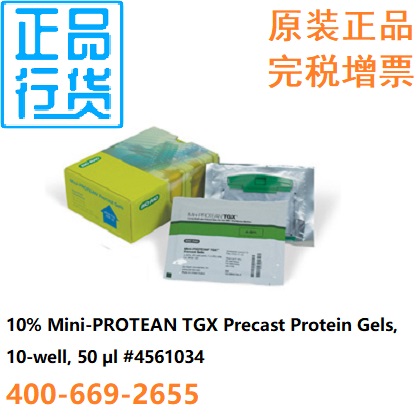 10%分离胶
