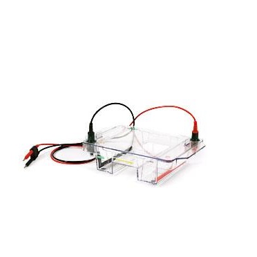 水平电泳槽10cm 1704468