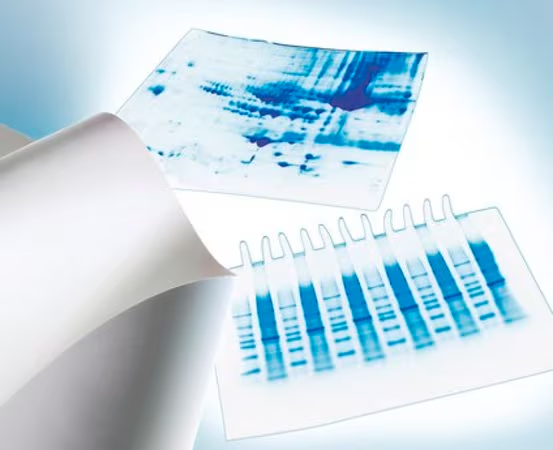 Immobilon® -P PVDF Membrane