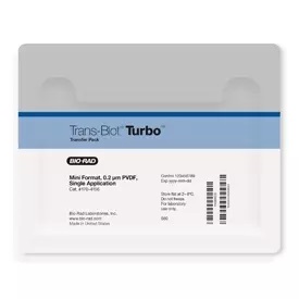 Trans-Blot Turbo转印包，0.2μm PVDF，7X8.5cm
